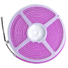 ULS-N01-2835-120LED/m-6mm-IP67-DC12V-9W/m-5M-PURPLE Гибкая светодиодная лента. NEON. Катушка 5м. в б