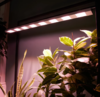 ULT-P70B-100W/SPLE/L105 WHITE WINTERGARDEN Св-к свет-ый накл. спектр для фотс-за. угол 60гр.TM Uniel